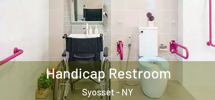 Handicap Restroom Syosset - NY