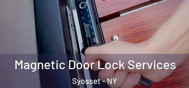 Magnetic Door Lock Services Syosset - NY